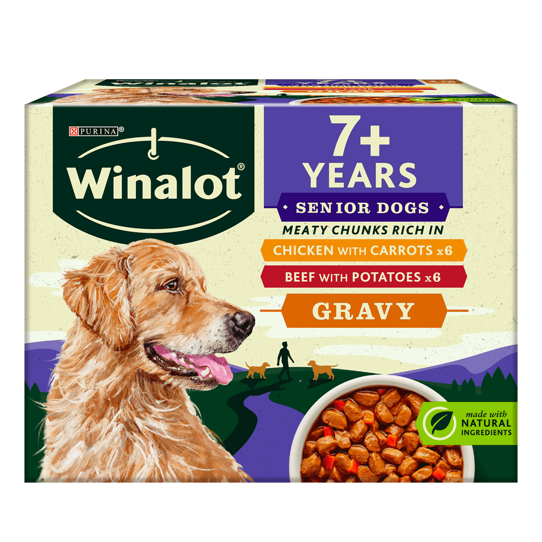 What Is The Best Wet Dog Food For Senior Dogs